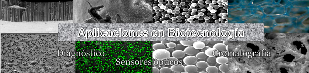Laboratorio de Materiales Biotecnológicos – LaMaBio